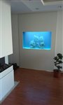 imag0744